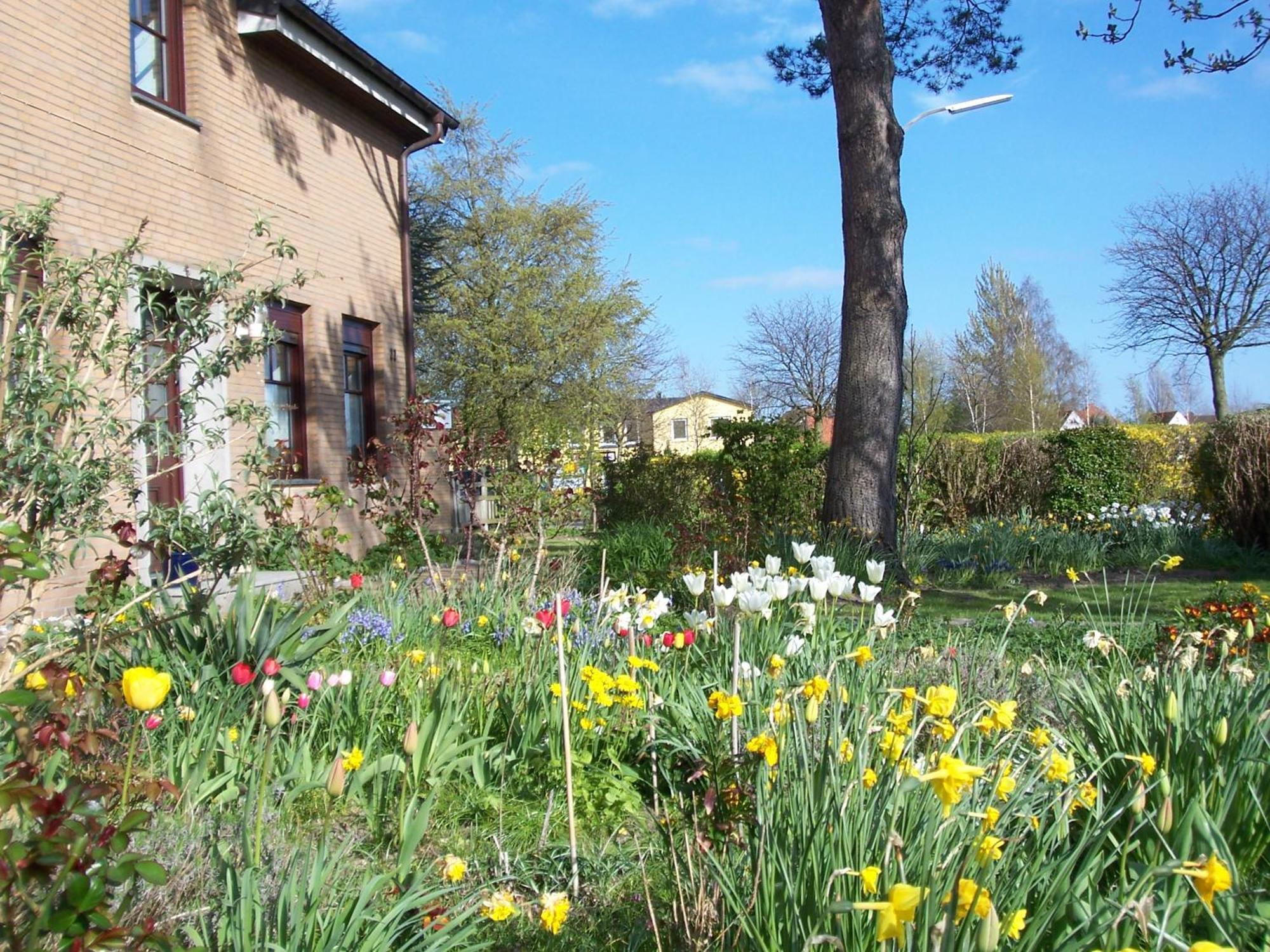 Villa Kronsteert Dahme  Luaran gambar